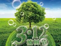 义务植树,放下木材,提倡亚搏足球装饰管!